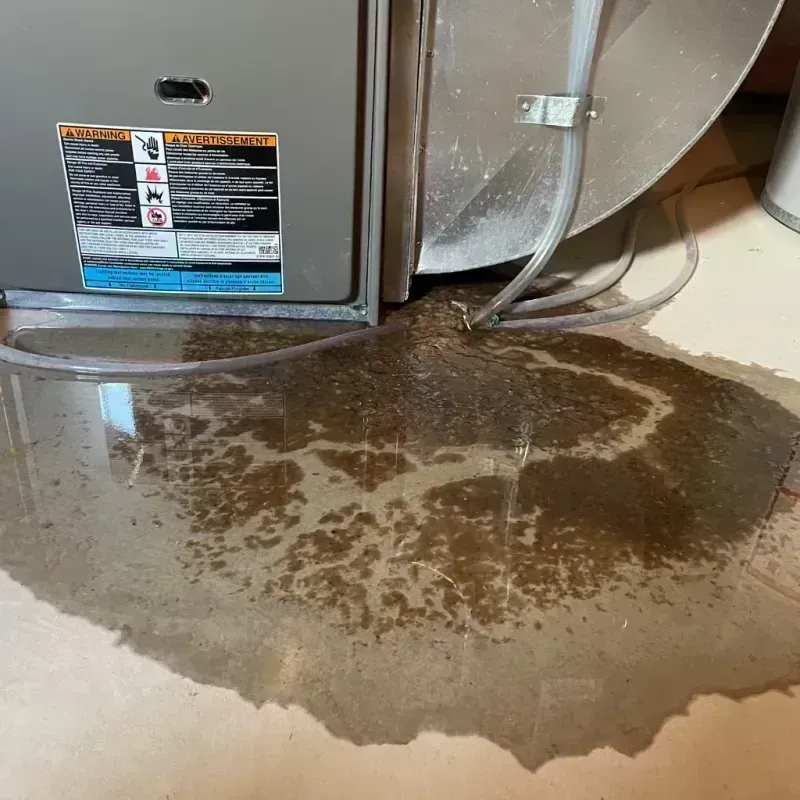 Appliance Leak Cleanup in Essex County, NJ